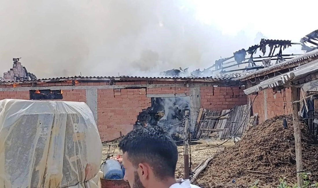 Bilecik’in Pazaryeri ilçesinde samanlık