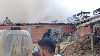 Bilecik’te samanlık alanda yangın çıktı