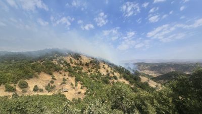 Bingöl’de çıkan orman yangınına müdahale ediliyor