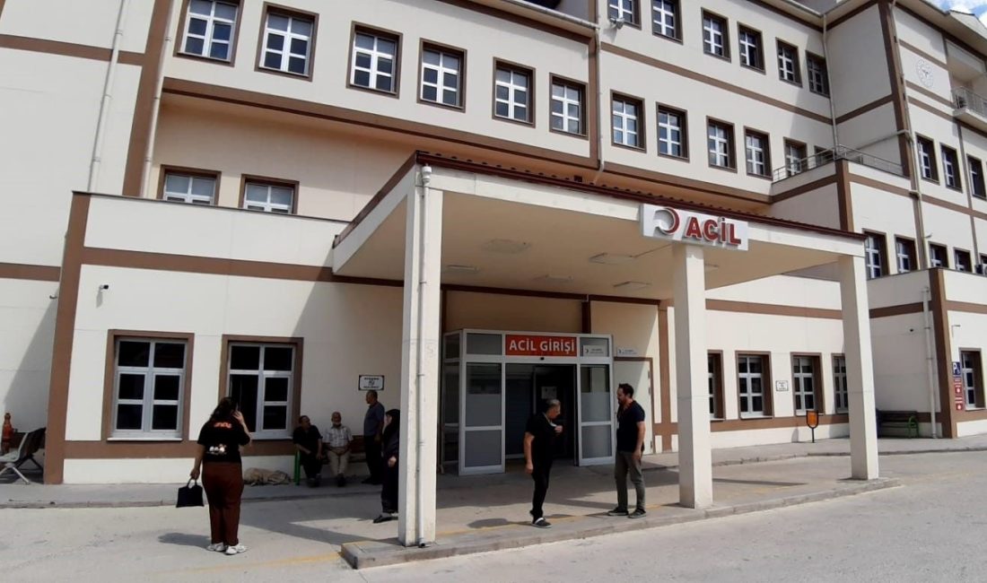 Bolu'nun Taşkesti beldesinde bir