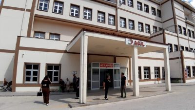 Bolu’da ayı avı kararı