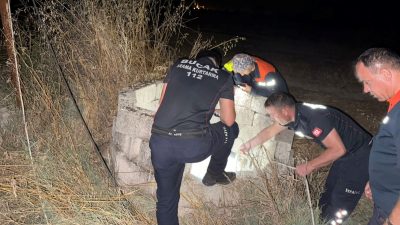 Burdur’da kuyuya düşen kedi itfaiye tarafından kurtarıldı