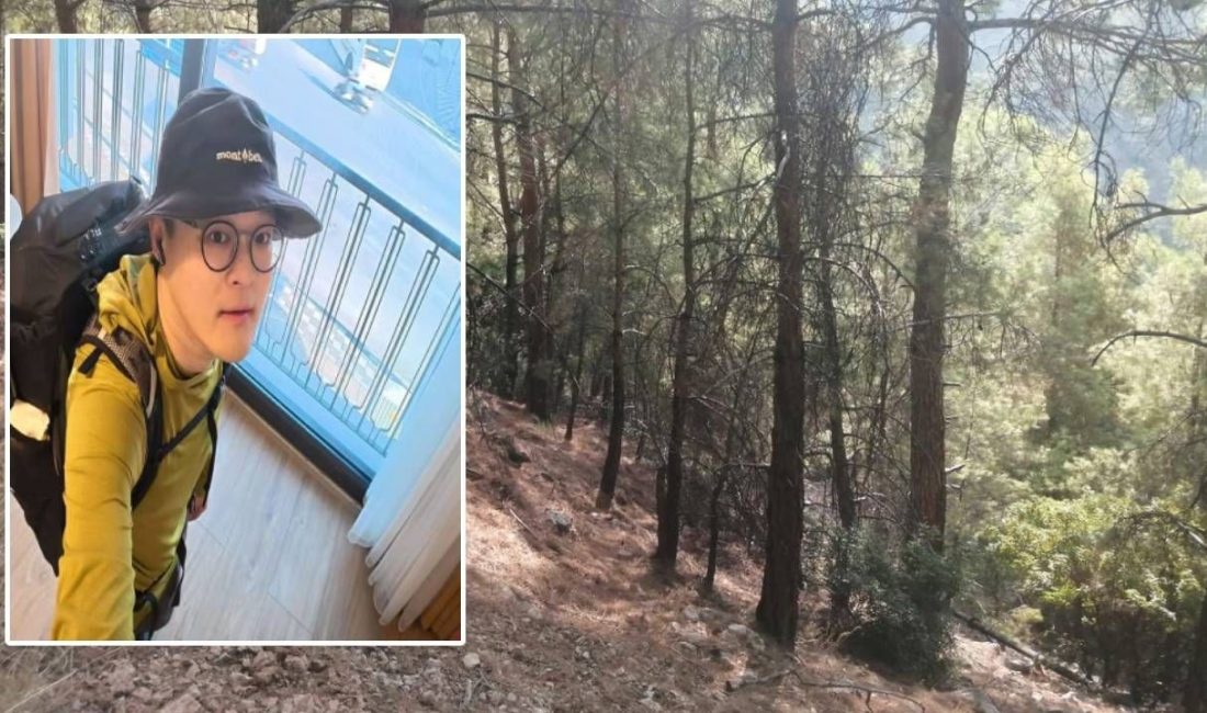 Muğla'nın Fethiye ilçesinde, dağda