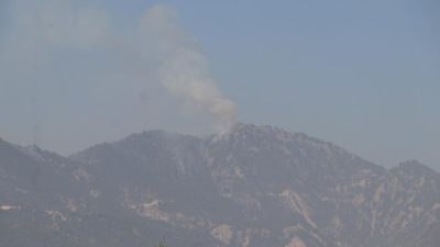 Denizli ve Karabük’te orman yangını: Alevlerle çaba devam ediyor