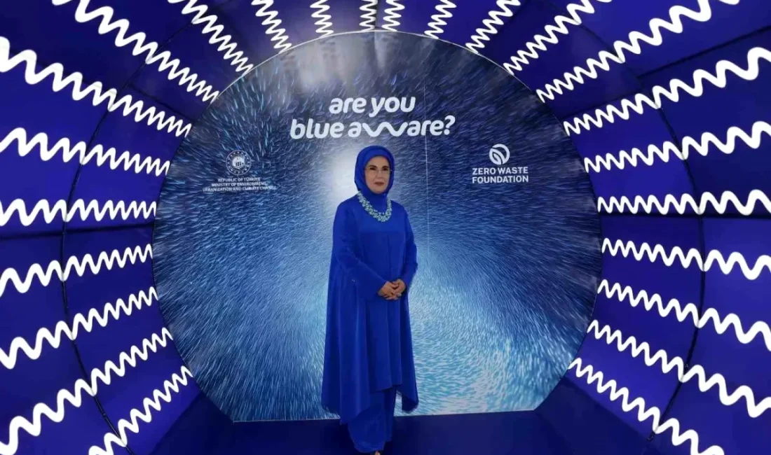 Emine Erdoğan, küresel çevre