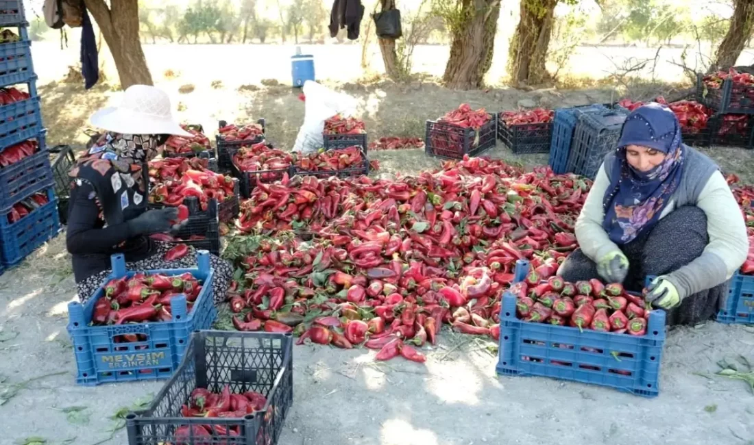 Erzincan’da kadın emekleriyle yüksek