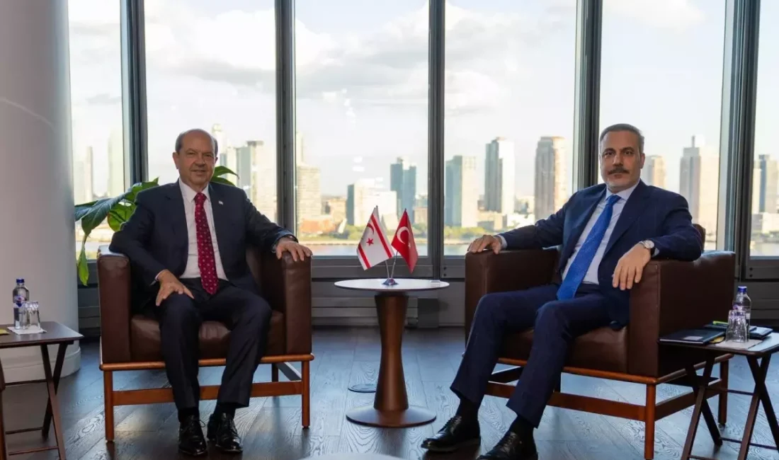 Hakan Fidan, BM Genel