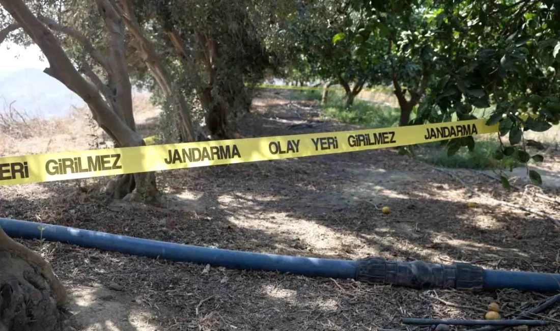 Hatay'da alacak verecek nedeniyle