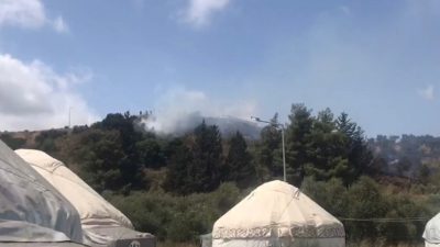 Hatay’da orman yangını