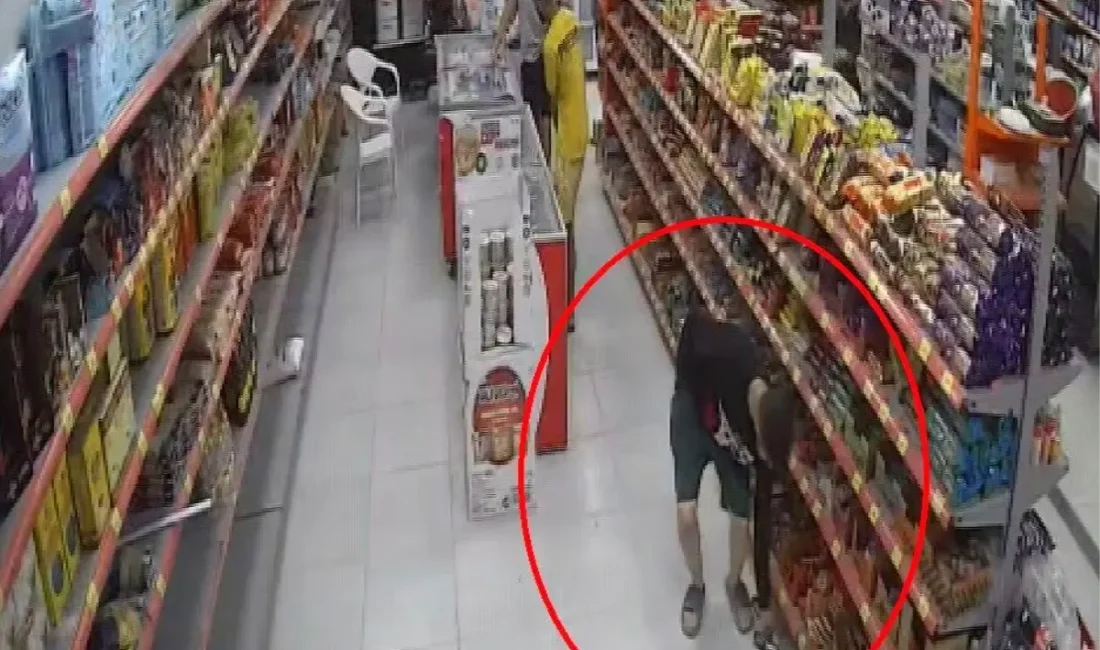 Hatay’da sınırları zorlayan hırsızlık