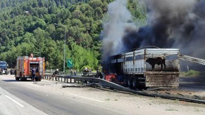 Hayvan yüklü TIR yandı, otoyol kapandı