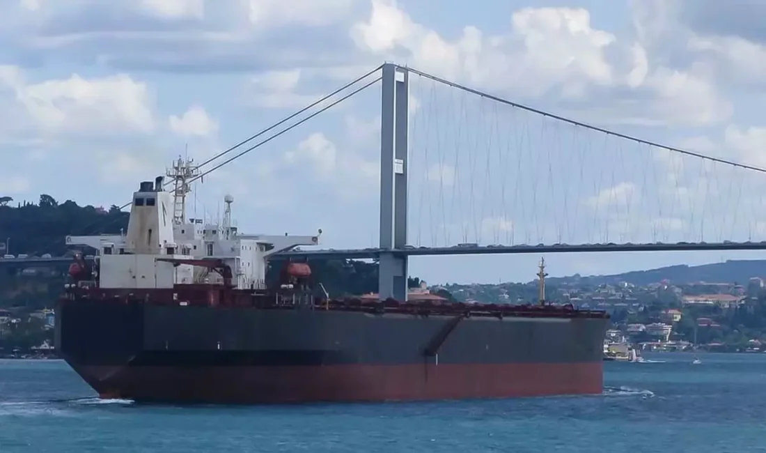 İstanbul Boğazı'nda kargo gemisi