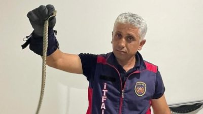 İtfaiyeden yılan operasyonu