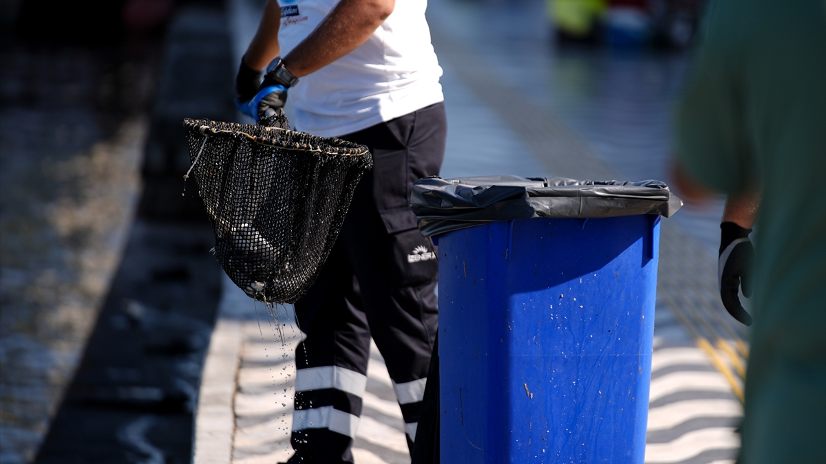 İzmir Körfezi’nde korkutan imaj: Balık vefatları devam ediyor