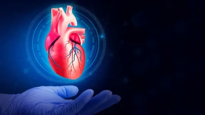 Kalp Sağlığını Korumanın Anahtarı: Uzman Tavsiyeleri ve Güncel Yaklaşımlar