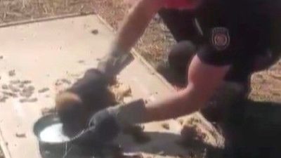 Kanala düşen yavru köpek kurtarıldı