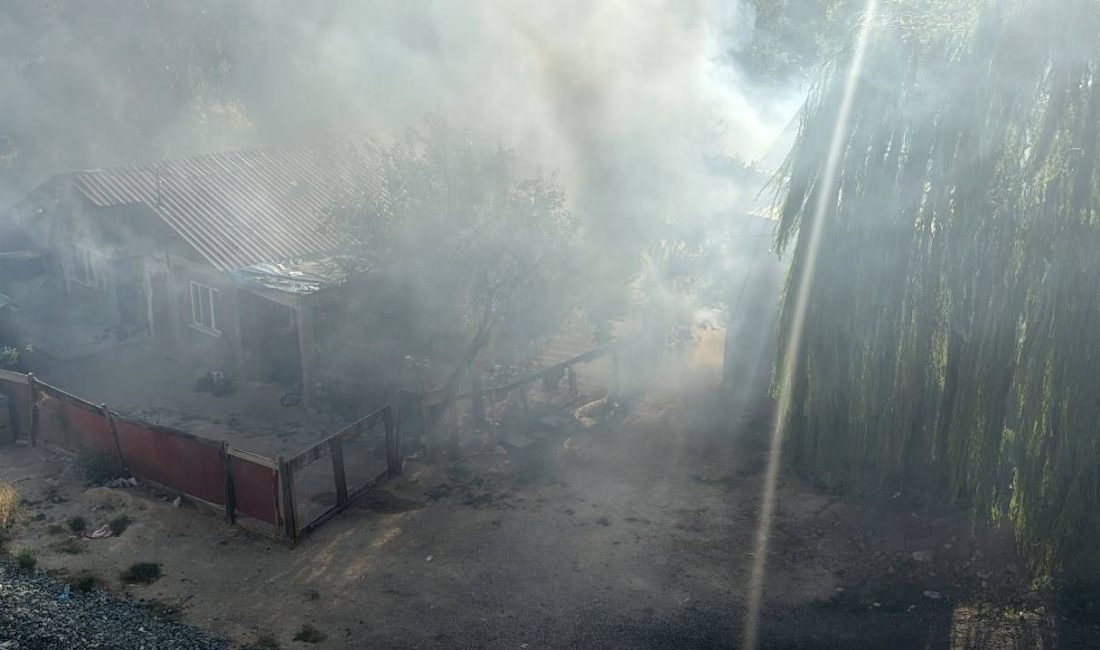 Karabük'te bir konutun bahçesinde