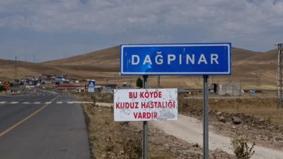 Kars’ta kuduz hadisesi… Bir belde karantinaya alındı