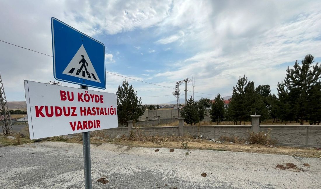 Kars'ın Digor ilçesinde tilkiyle