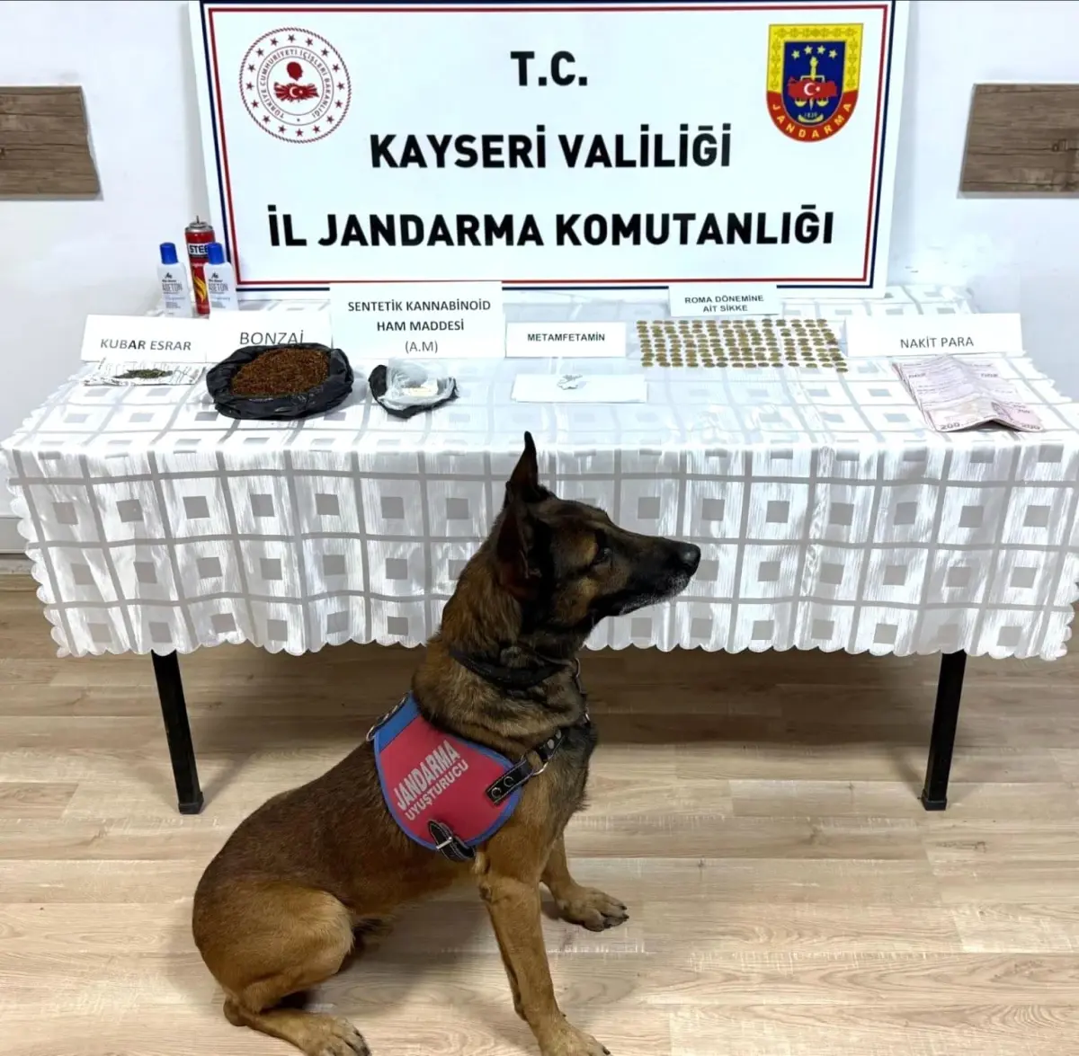 Kayseri’de Jandarma Operasyonu: Uyuşturucu ve Tarihi Sikke Yakalamaları