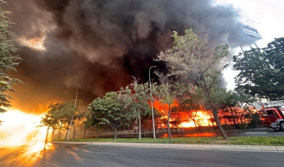 Kayseri'de bir keçe fabrikasında