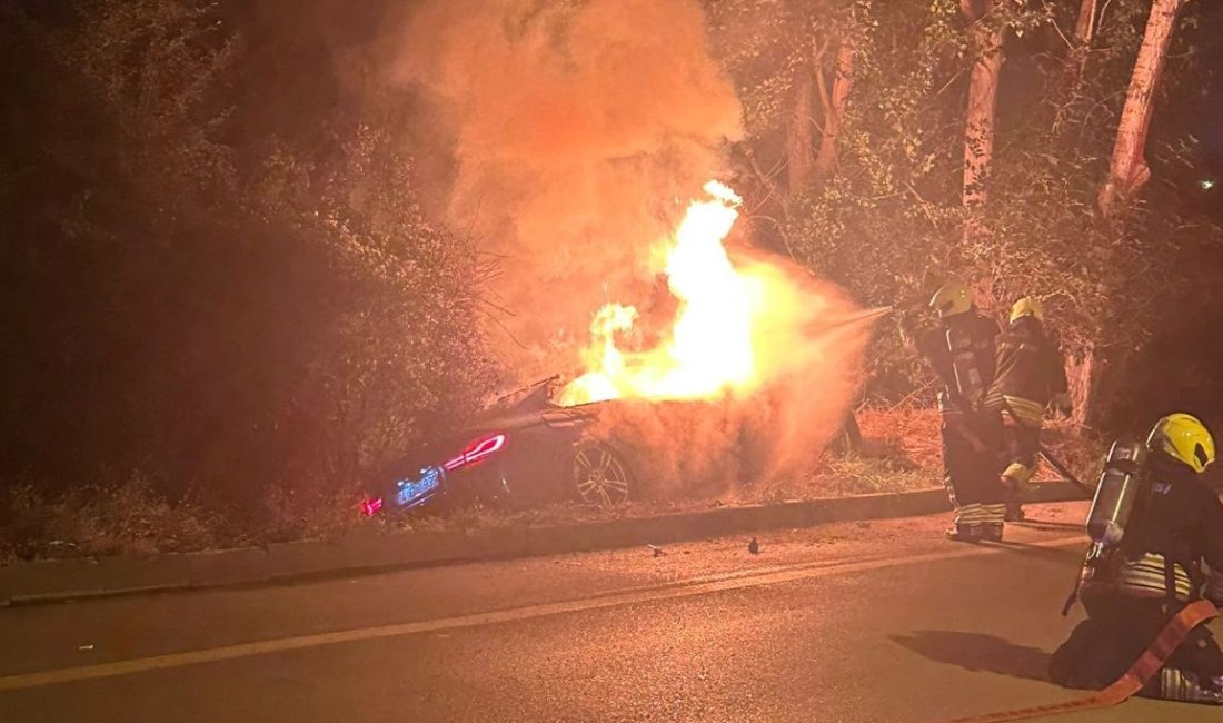 Bolu'da yoldan çıkıp ağaçlık