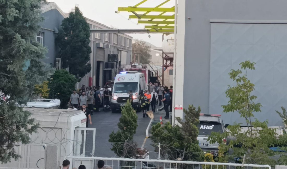 Tekirdağ'ın Kapaklı ilçesinde boya