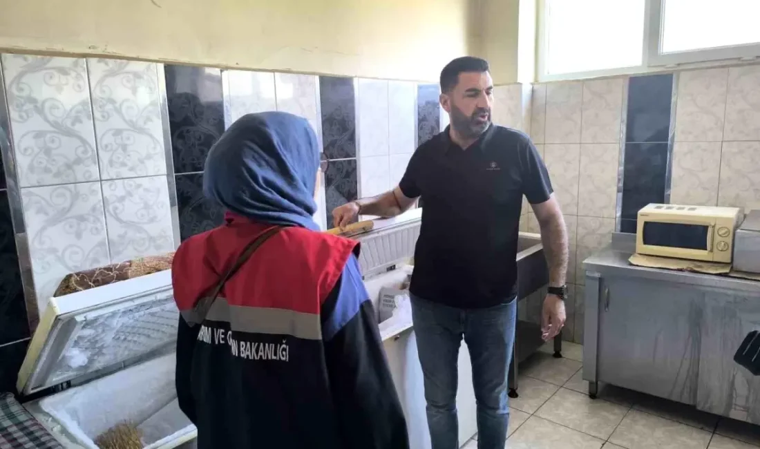 Köşk'te gıda güvenliği denetimleri,