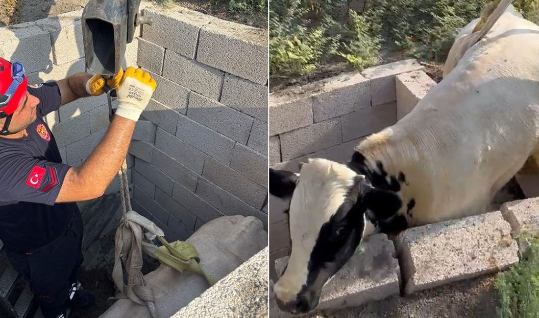 Adana'nın Ceyhan ilçesinde tuvalet