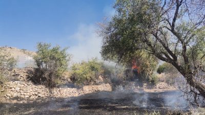 Mardin’in 2 ilçesinde örtü yangını