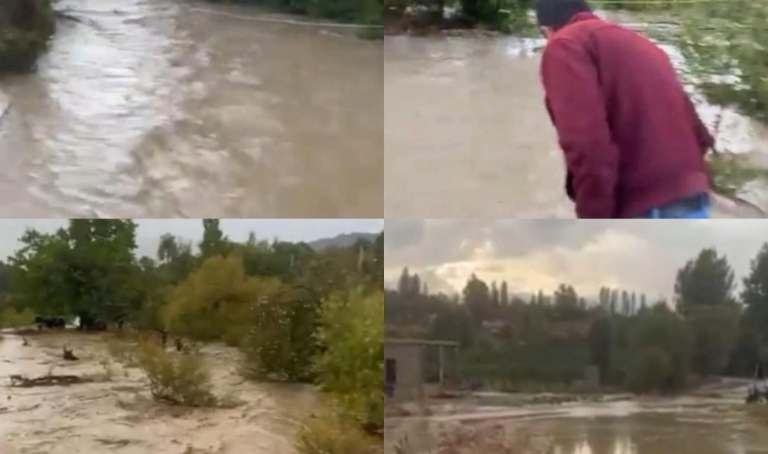 Mersin'in muhakkak bölgelerinde aylar
