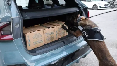 Mersin’de Uyuşturucu Operasyonunda 31 Kilo Sentetik Madde Ele Geçirildi, 7 Kişi Tutuklandı