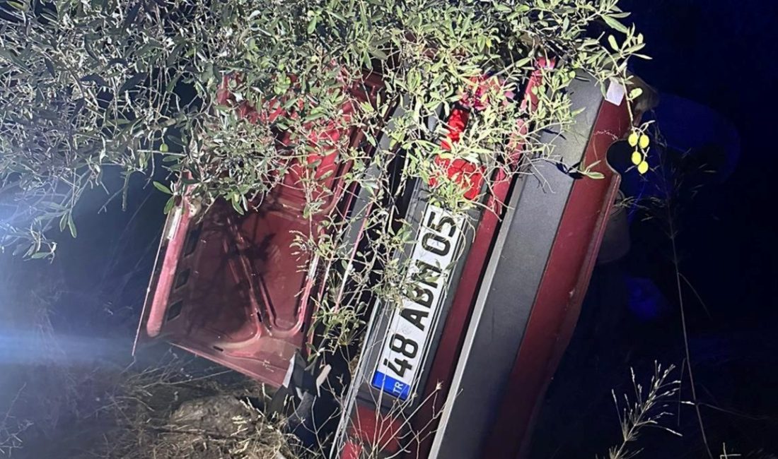 Muğla’nın Milas ilçesinde direksiyon