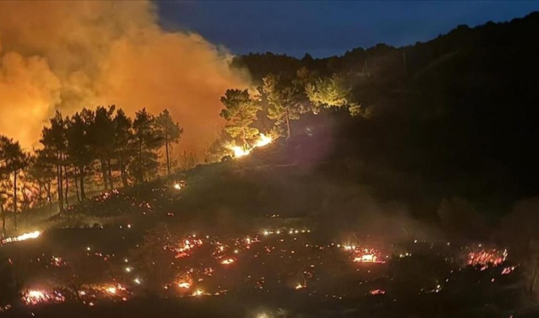 Muğla'nın Köyceğiz ve Milas
