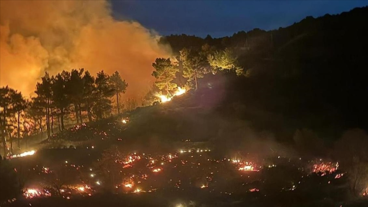 Muğla’daki yangınlarda son durum: 218 mesken boşaltıldı, 582 kişi tahliye edildi