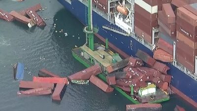 Onlarca konteyner denize düştü