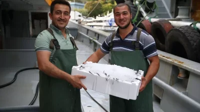 Ordulu Balıkçılar Sezonu Bol Hamsiyle Açtı, Denizde Bereket Yaşanıyor