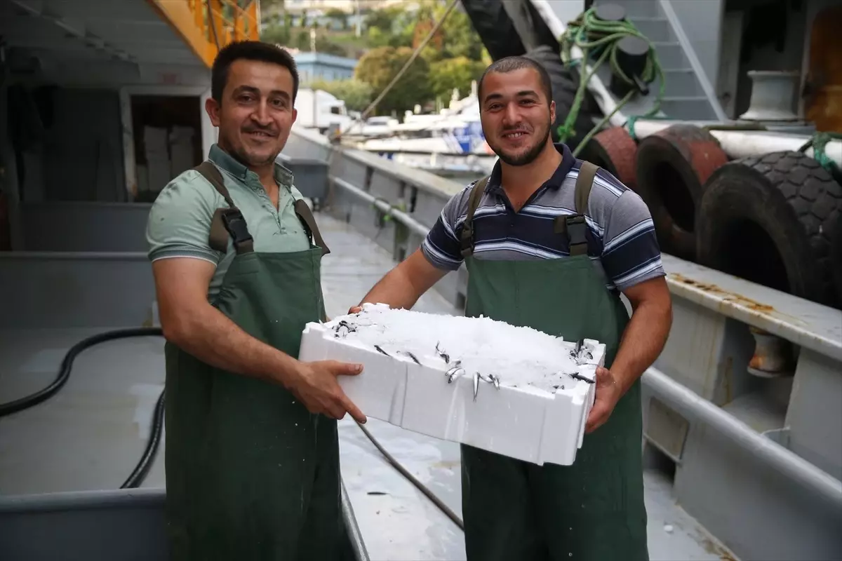 Ordulu Balıkçılar Sezonu Bol Hamsiyle Açtı, Denizde Bereket Yaşanıyor