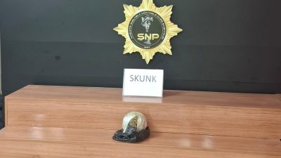 Otobüsteki yolcunun çantasından uyuşturucu çıktı