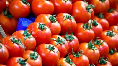 Salmonella salgınının kaynağı çeri domatesler mi?