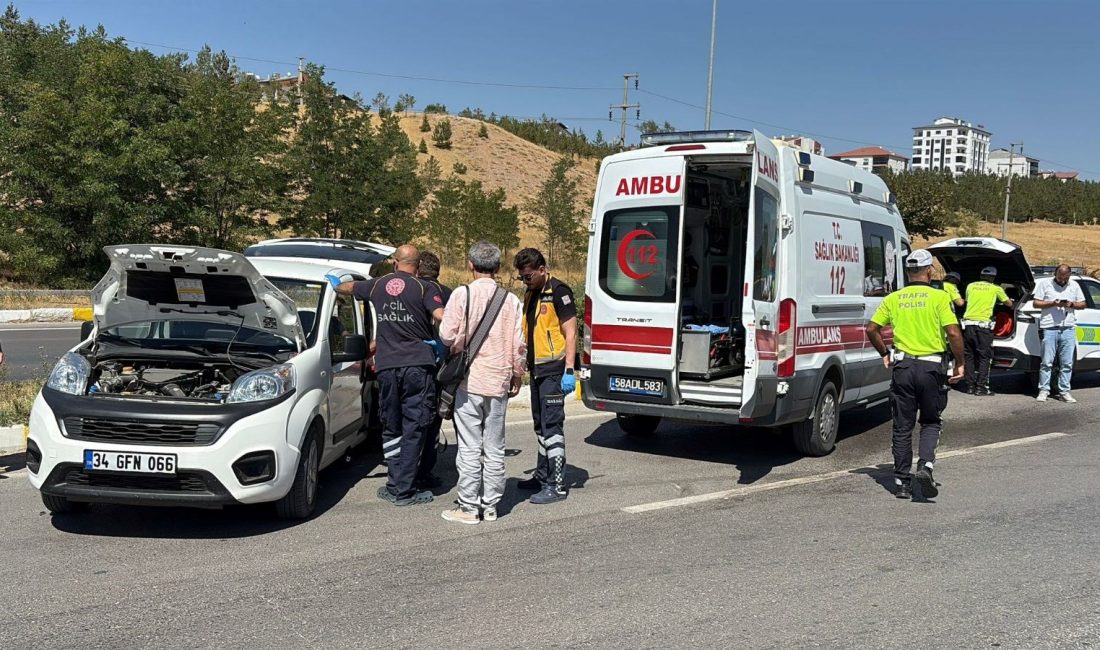 Sivas'ta hafif ticari araç
