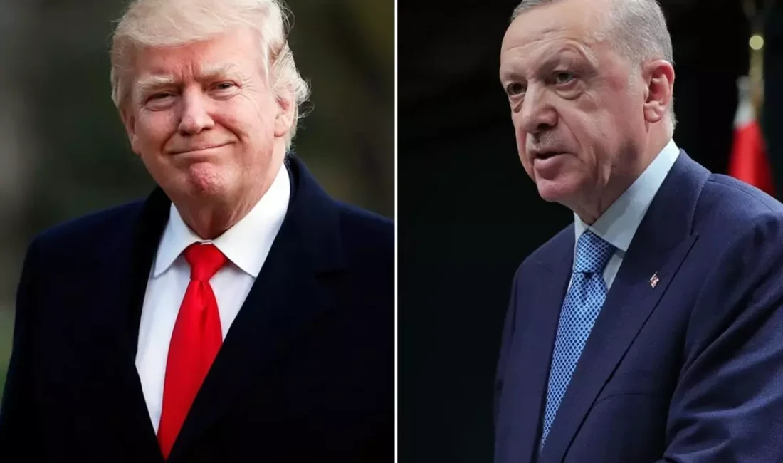 Trump'un eski uluslararası diploması