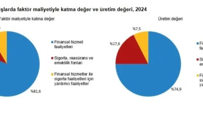 Türkiye’de Mali Aracı Kuruluşların 2024 Yılı Güncel Durumu
