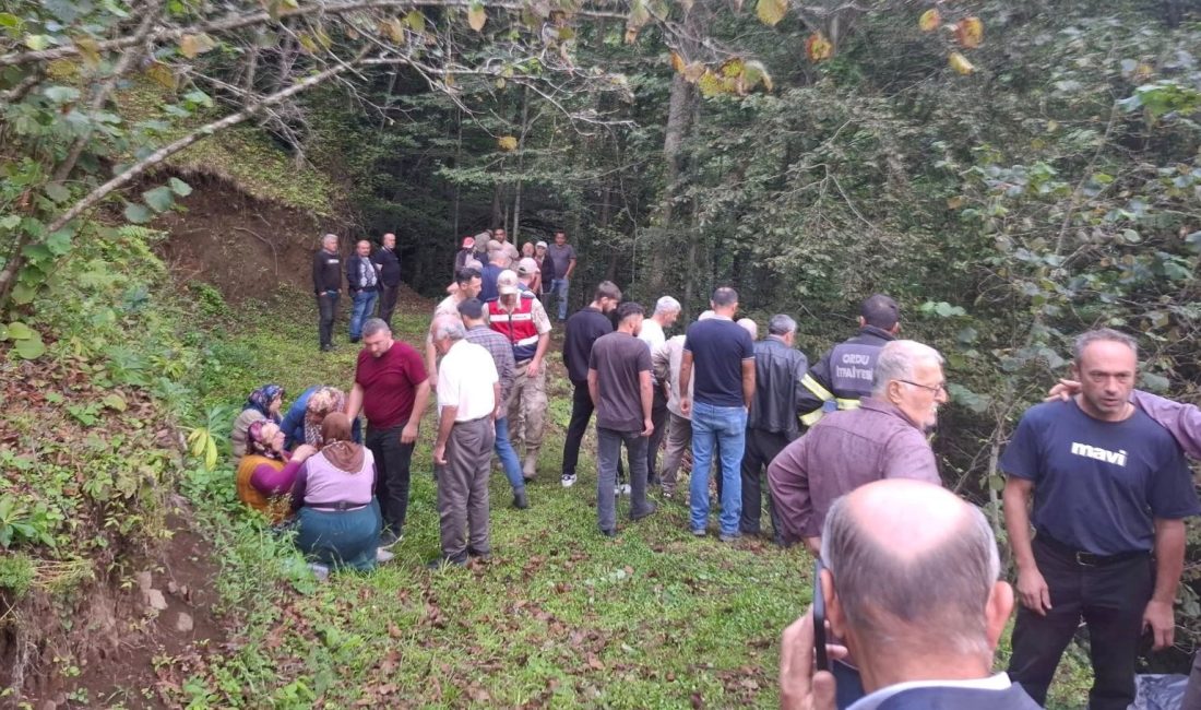 Ordu'nun Çaybaşı ilçesinde tarım