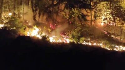 Yığılca yangını 2 saatte denetim altında