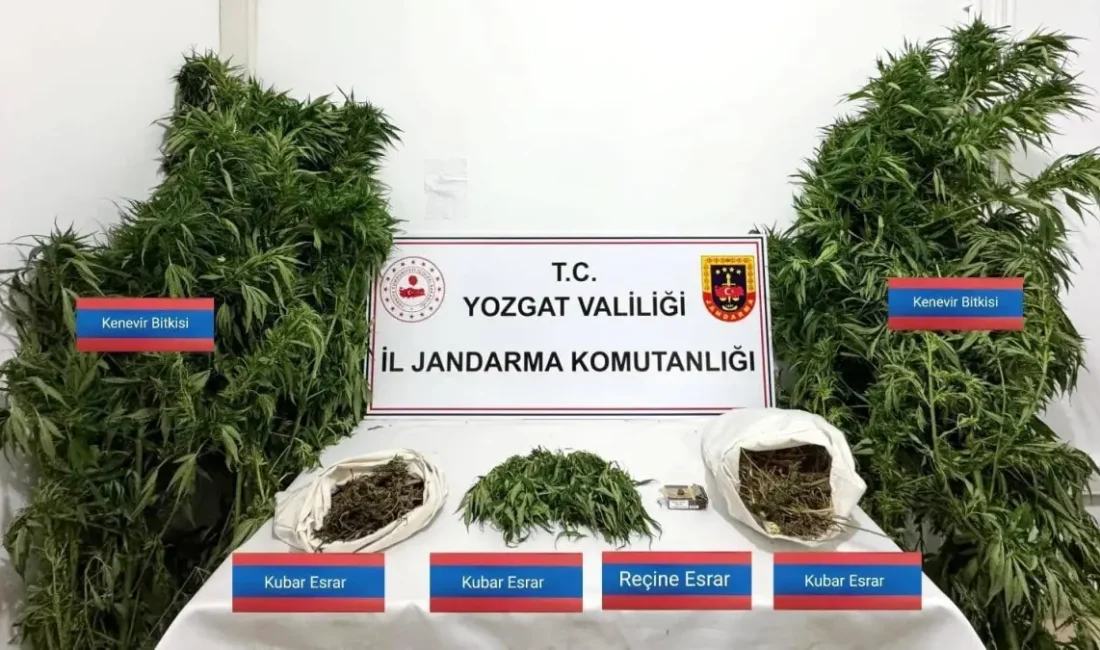 Yozgat Sarıkaya'da gerçekleştirilen uyuşturucu
