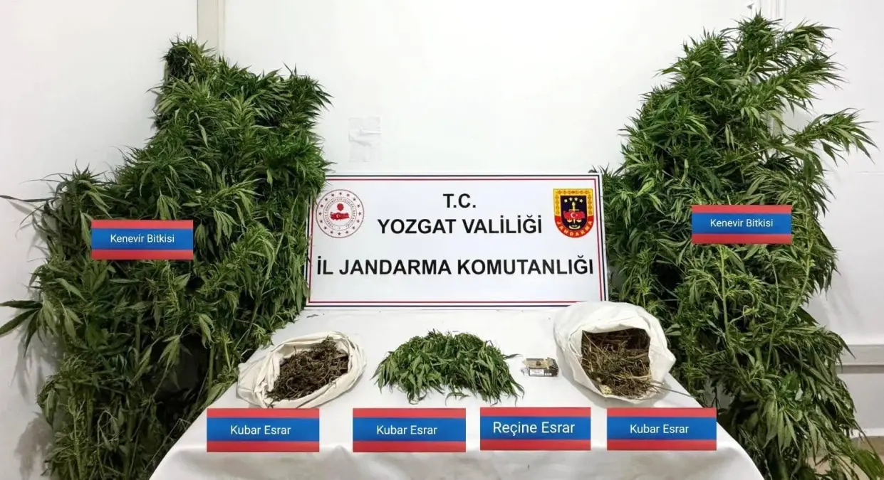 Yozgat Sarıkaya’da Uyuşturucu Operasyonu: Kenevir ve Esrar Ele Geçirildi