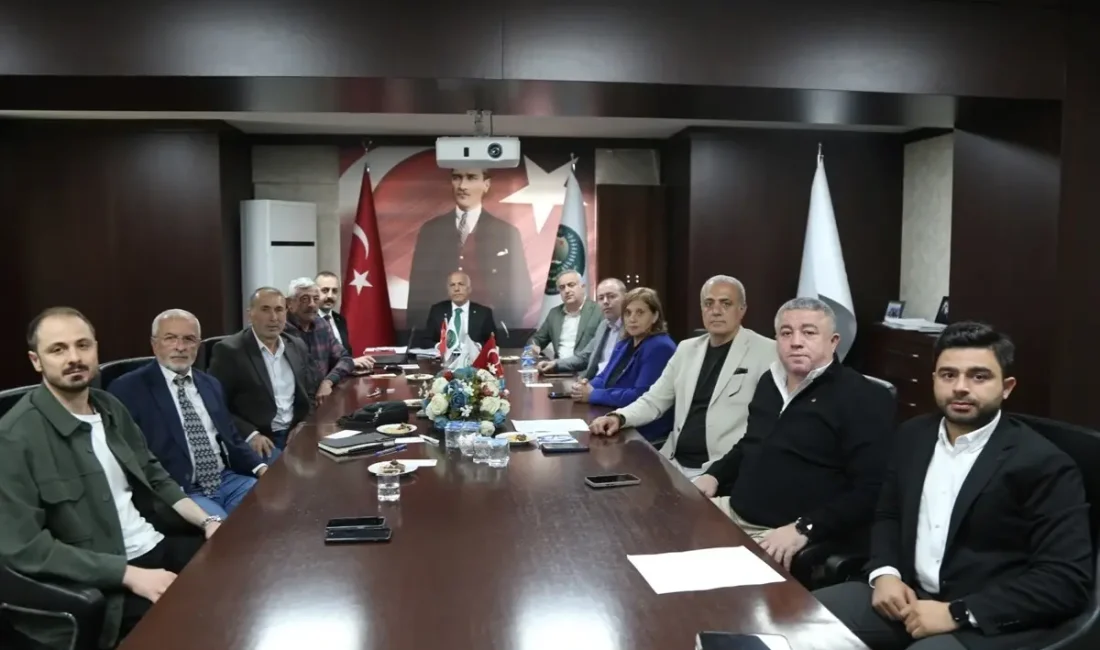 2025-2026 zeytin hasadı taban