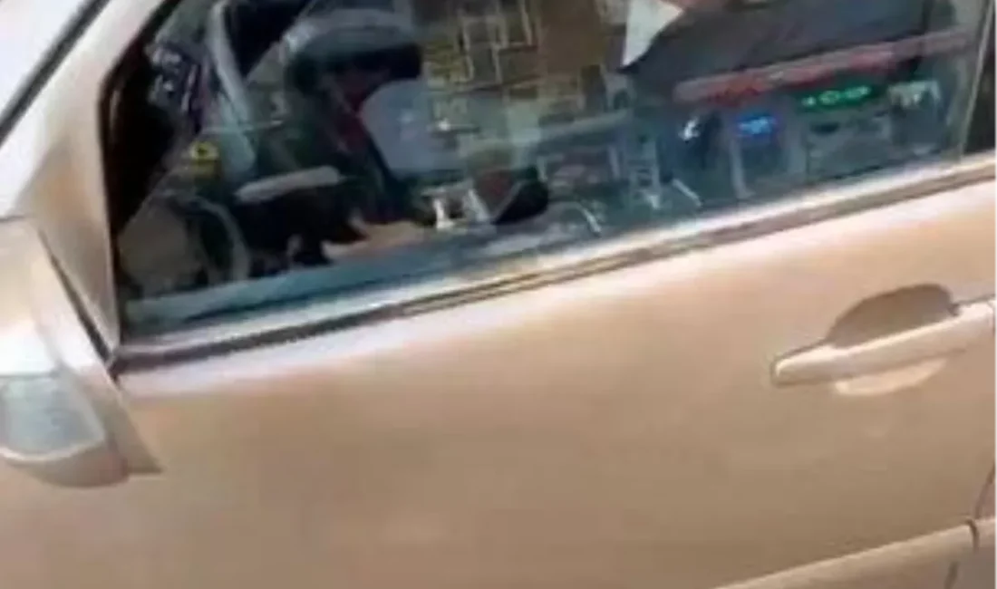 Adana'da ters yöne giren