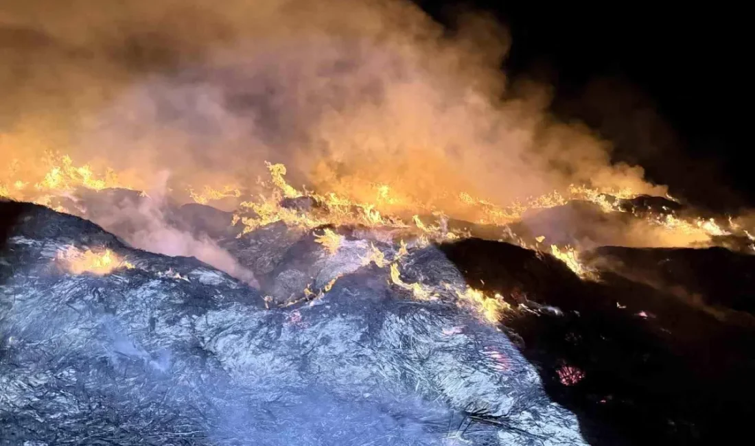 Afyonkarahisar’da kamış yangını büyük